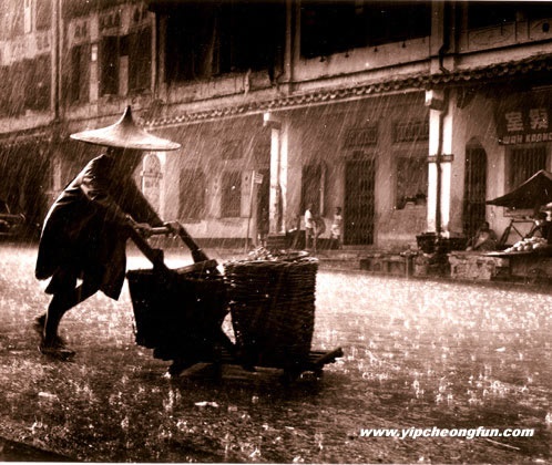 Braving the Rain